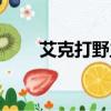 艾克打野主什么副什么（艾克打野）