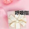 呼吸指數計算公式（呼吸指數）