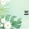 三花接骨散（接骨散）