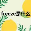 freeze是什么意思中文（freeze是什么意思）