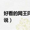 好看的網王同人小說下載（好看的網王同人小說）