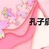 孔子廟在哪個城市（孔子廟）