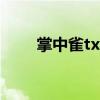 掌中雀txt下載（掌中雀txt百度云）