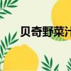 貝奇野菜汁一瓶多少錢（貝奇野菜汁）