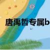 唐禹哲專屬bgm終極系列（唐禹哲新專輯）