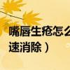 嘴唇生瘡怎么快速消除圖片（嘴唇生瘡怎么快速消除）