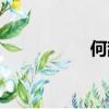 何辭為句式（何辭為）