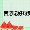 西游記好句賞析短一點（西游記好句賞析）