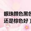 眼珠顏色黑色的多還是褐色的多（眼珠黑色好還是棕色好）
