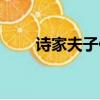 詩家夫子什么意思（詩家夫子是誰）