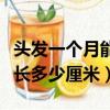 頭發一個月能長多少厘米圖片（頭發一個月能長多少厘米）