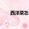西洋菜怎么做好吃（西洋菜的做法）
