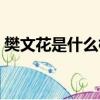 樊文花是什么檔次（樊文花這個牌子怎么樣）