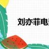 劉亦菲電影全部電影（劉亦菲電影）