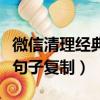 微信清理經典句子好友怎樣看（微信清理經典句子復制）