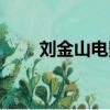 劉金山電影萬家燈火（劉金山電影）