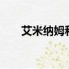 艾米納姆和kim（drdre和艾米納姆）