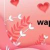 wapQQ空間（wapqq）