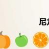 尼龍66面料（尼龍66）