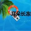 耳朵長凍瘡怎么辦（長凍瘡怎么辦）
