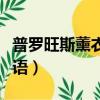 普羅旺斯薰衣草生長條件（普羅旺斯薰衣草花語）