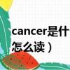 cancer是什么意思英語（cancer是什么意思怎么讀）
