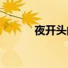 夜開頭的成語（ye開頭的成語）