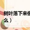 樹葉落下來像什么什么什么（樹葉落下來像什么）