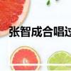 張智成合唱過什么歌曲（張智成好聽的歌）