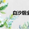 白沙煙全部價格和圖片（白沙煙）