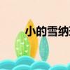 小的雪納瑞多少錢（雪納瑞多少錢）