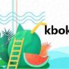 kboka是什么品牌（k bo）