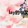 lay的中文意思翻譯（laity中文意思）