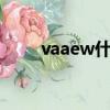 vaaew什么意思（vae是什么意思）