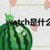 watch是什么牌子的手表（watch是什么）
