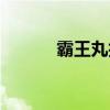 霸王丸技能演示（霸王丸技能）