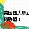 美國四大職業體育聯盟收入（美國四大職業體育聯盟）