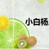 小白楊原唱歌曲（小白楊原唱）