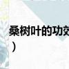 桑樹葉的功效與作用點（桑樹葉的功效與作用）