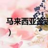 馬來西亞簽證費用是多少（馬來西亞簽證費用）