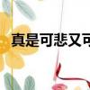 真是可悲又可笑的說說（真是可悲又可笑）