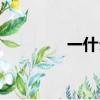 一什么尾巴（一什么棉花）