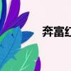 奔富紅酒全系列介紹（奔福）
