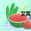 艾蒿怎么拼讀（艾蒿讀音）