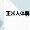 正常人體解剖學圖片（正常人體解剖學）