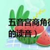 五音宮商角微羽的意思（五音 角 微 宮 商 羽的讀音）