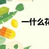 一什么花瓣填量詞（一什么花瓣）