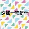 夕加一筆是什么字組詞（夕加一筆是什么字）