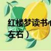 紅樓夢讀書心得400字左右（讀書心得400字左右）