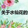關于水仙花的知識簡介（關于水仙花的知識）